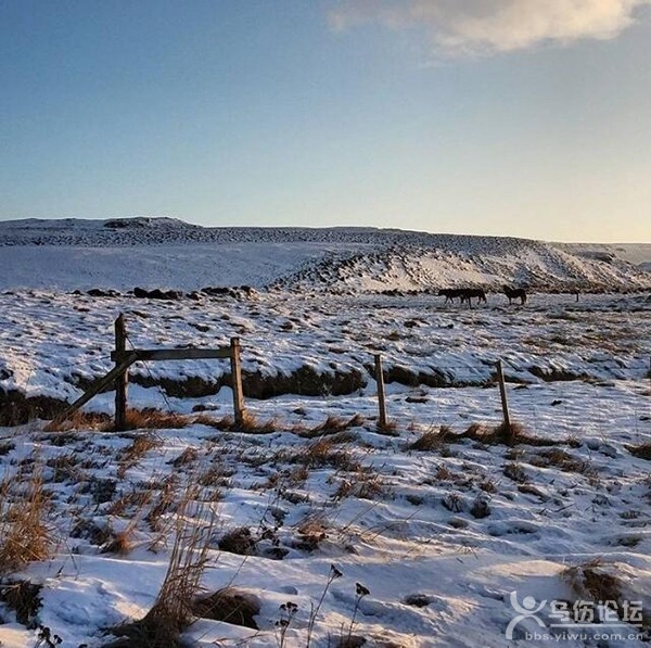 Fluðir Iceland